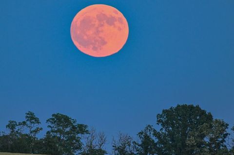 Blassroter Mond am Abendhimmel