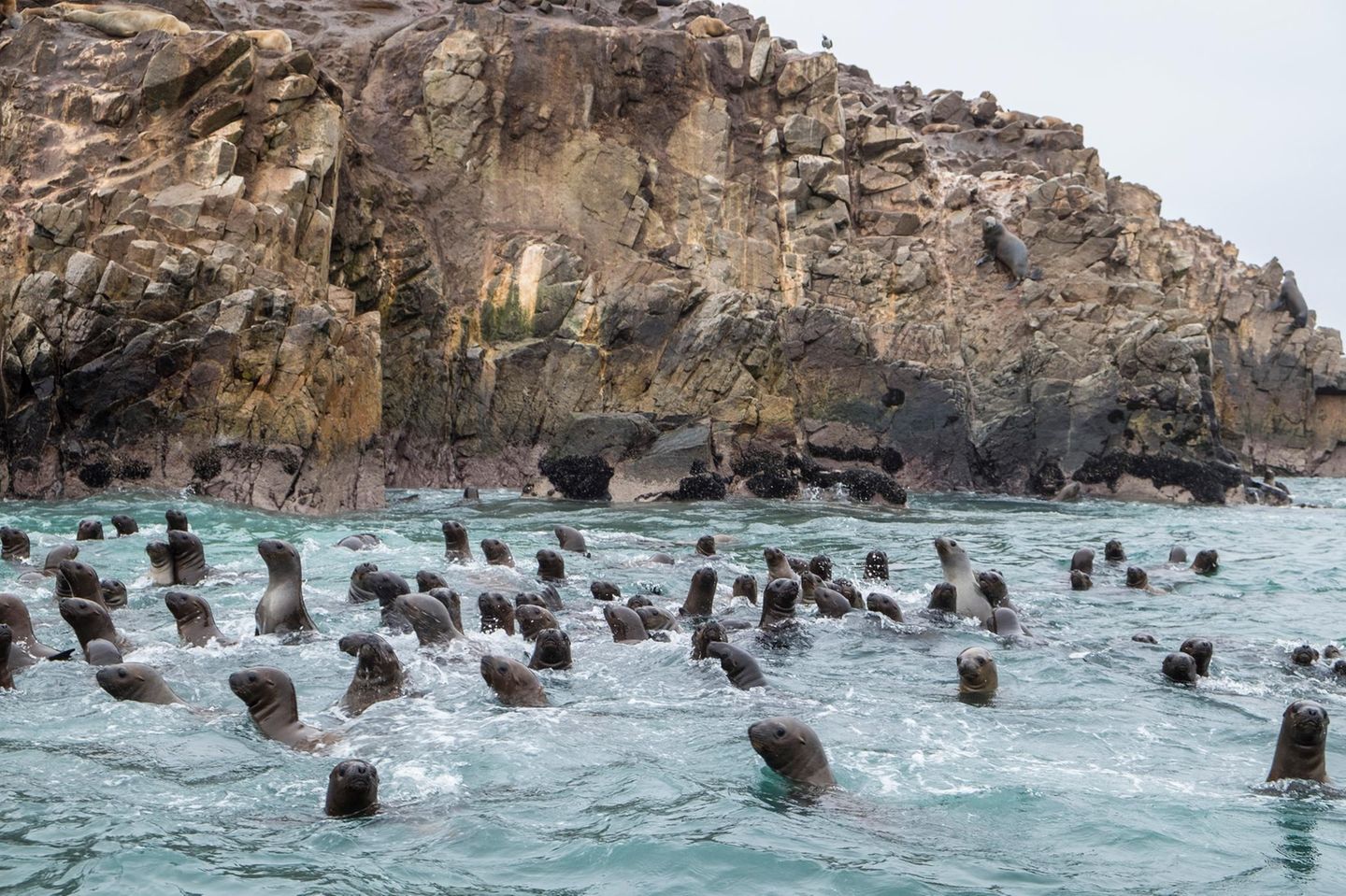 Islas Ballestas