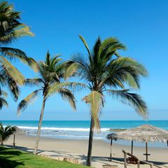 Strand Máncora mit Palmen und blauem Himmel