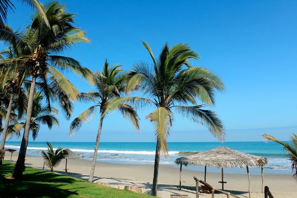 Strand Máncora mit Palmen und blauem Himmel 1.4982