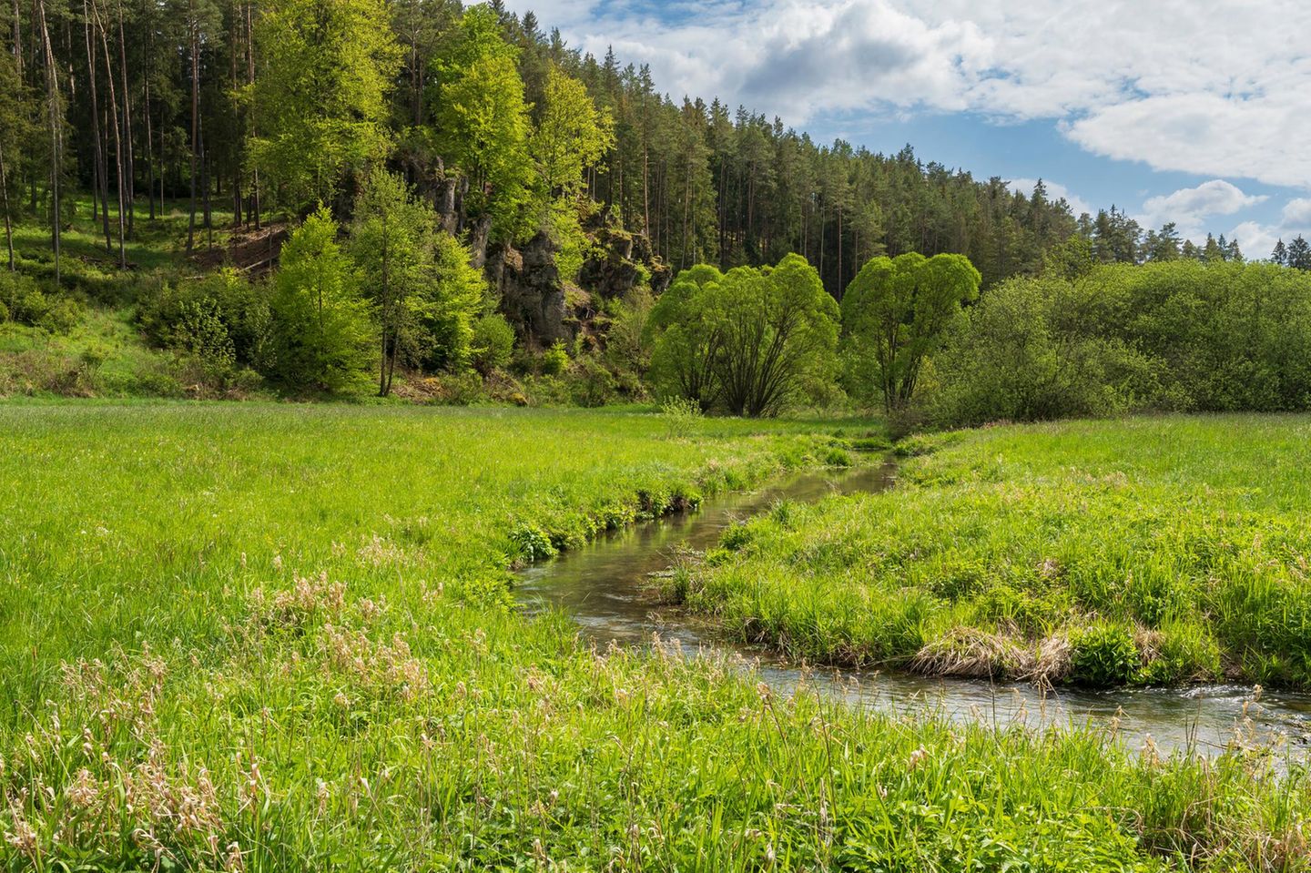 Runde durch das Paradiestal Wiesent im Paradiestal, Fränkische Schweiz