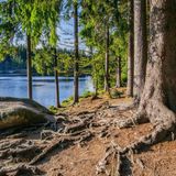 Fichtelsee in Franken, Bayern
