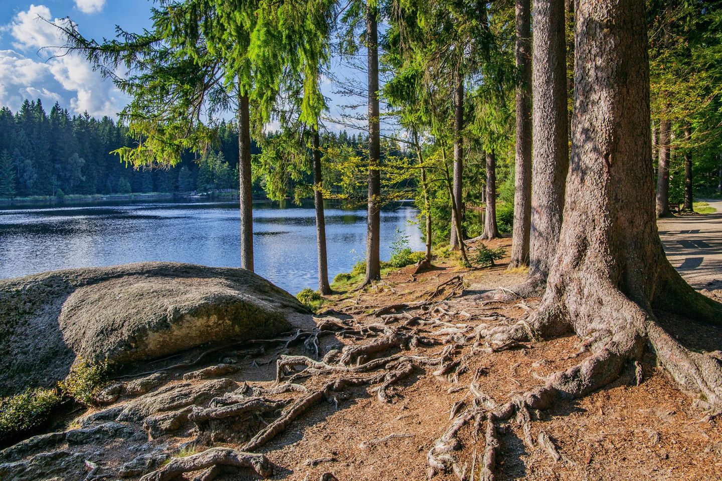 Fichtelsee in Franken, Bayern