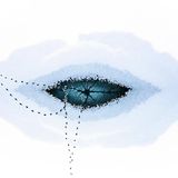 Riss in eingefrorenem See von oben