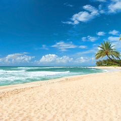 Oahu Beach, Hawaii