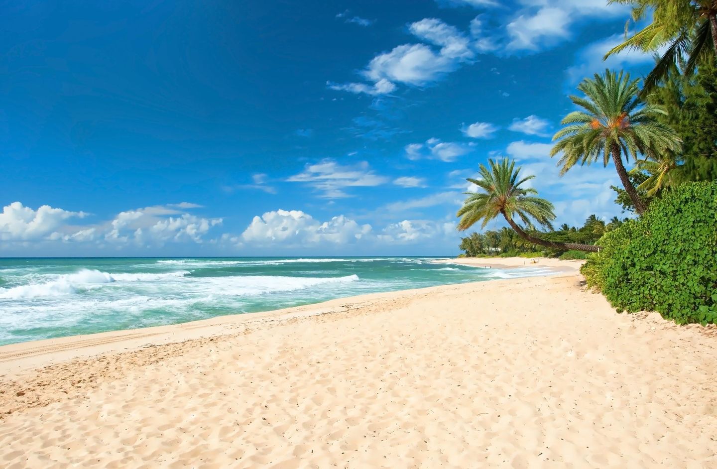 Oahu Beach, Hawaii