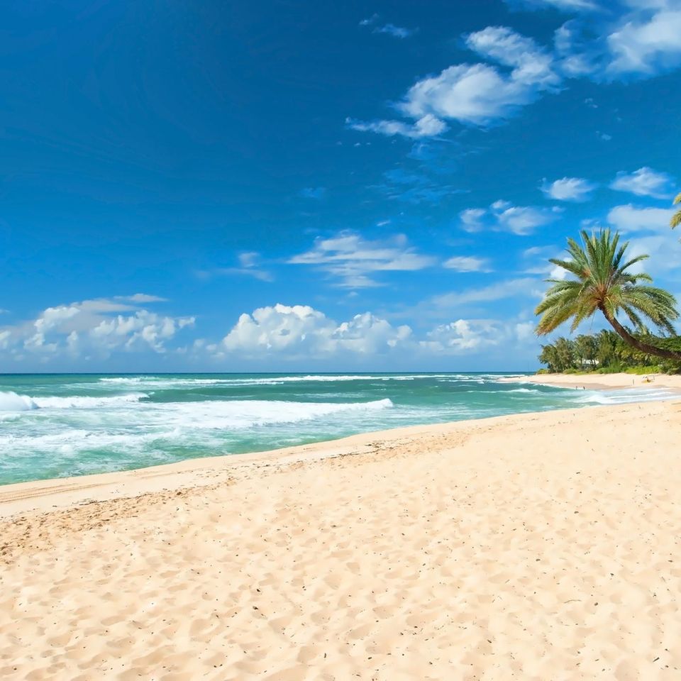 Oahu Beach, Hawaii
