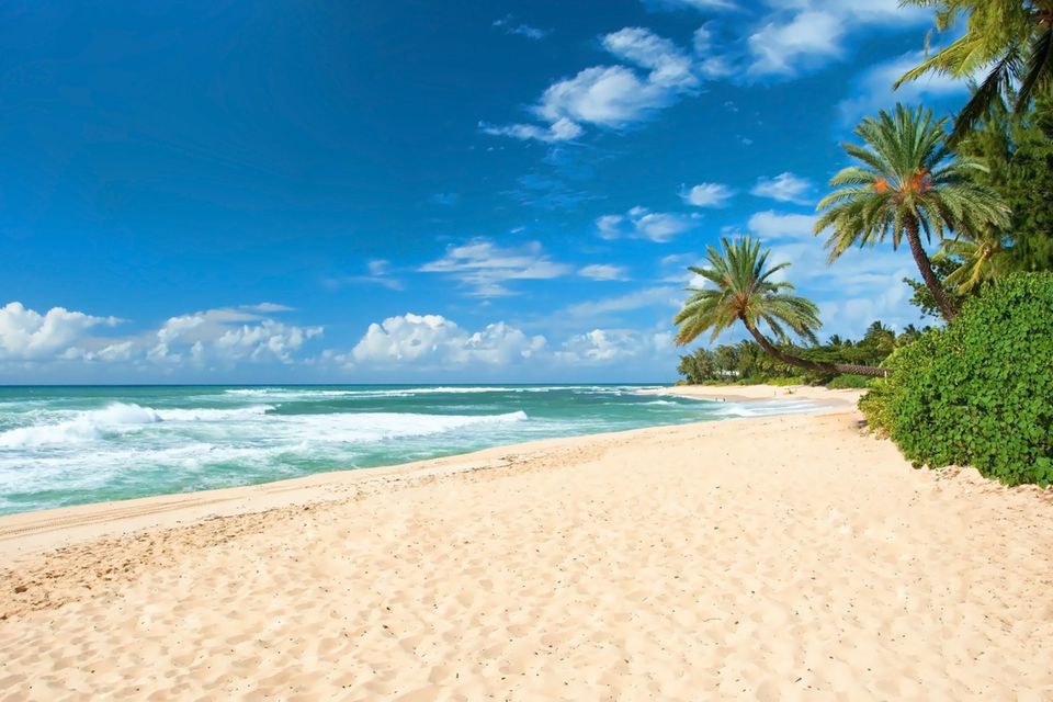 Oahu Beach, Hawaii 1.5284