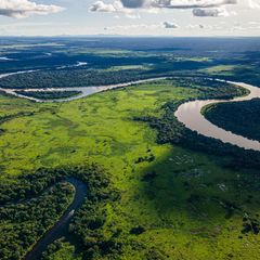 Das Pantanal ist eine Oase der Artenvielfalt. Der Versuch, dort eine Straße zu bauen, wirkte sich sogar positiv aus