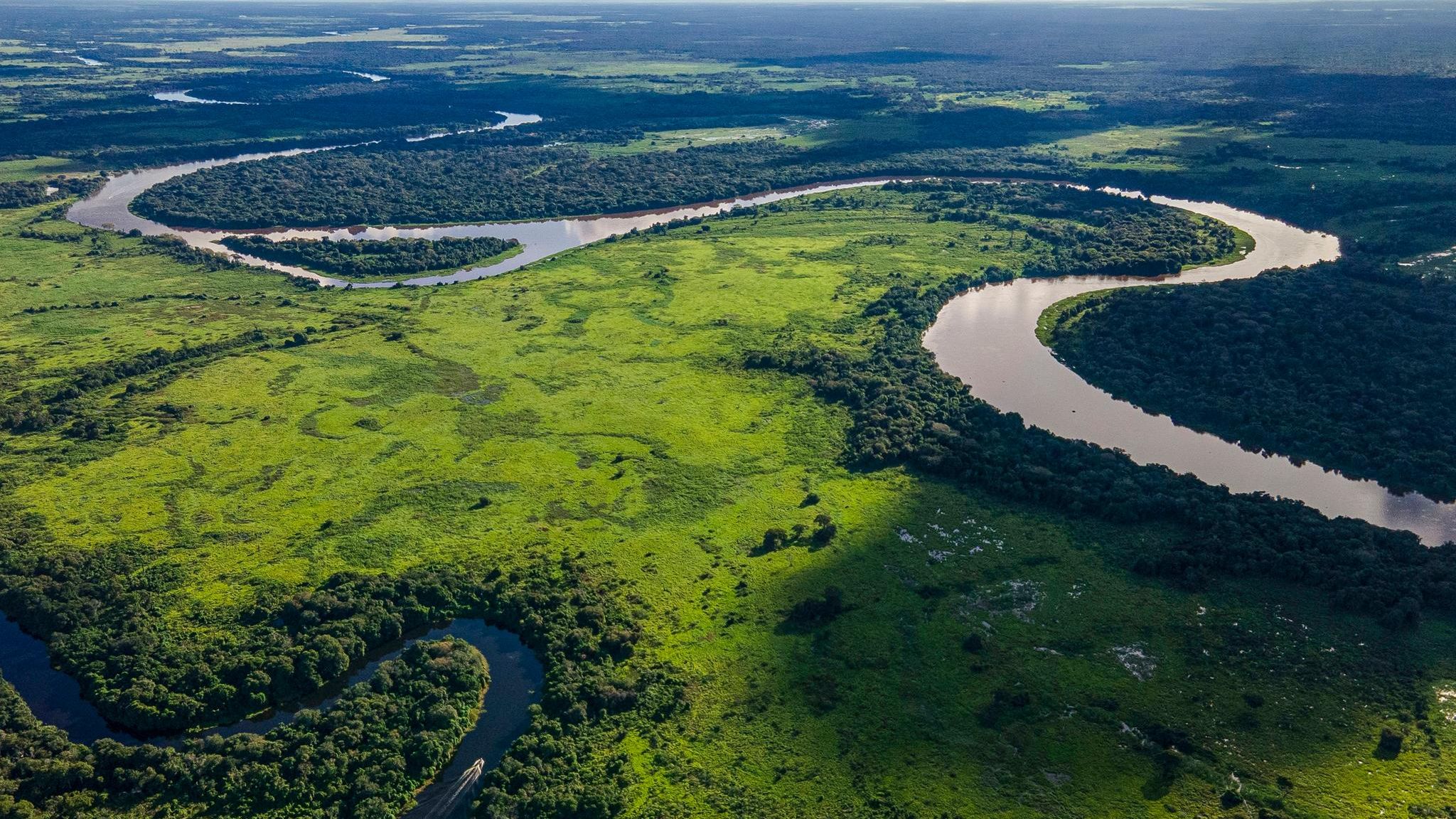 Das Pantanal ist eine Oase der Artenvielfalt. Der Versuch, dort eine Straße zu bauen, wirkte sich sogar positiv aus