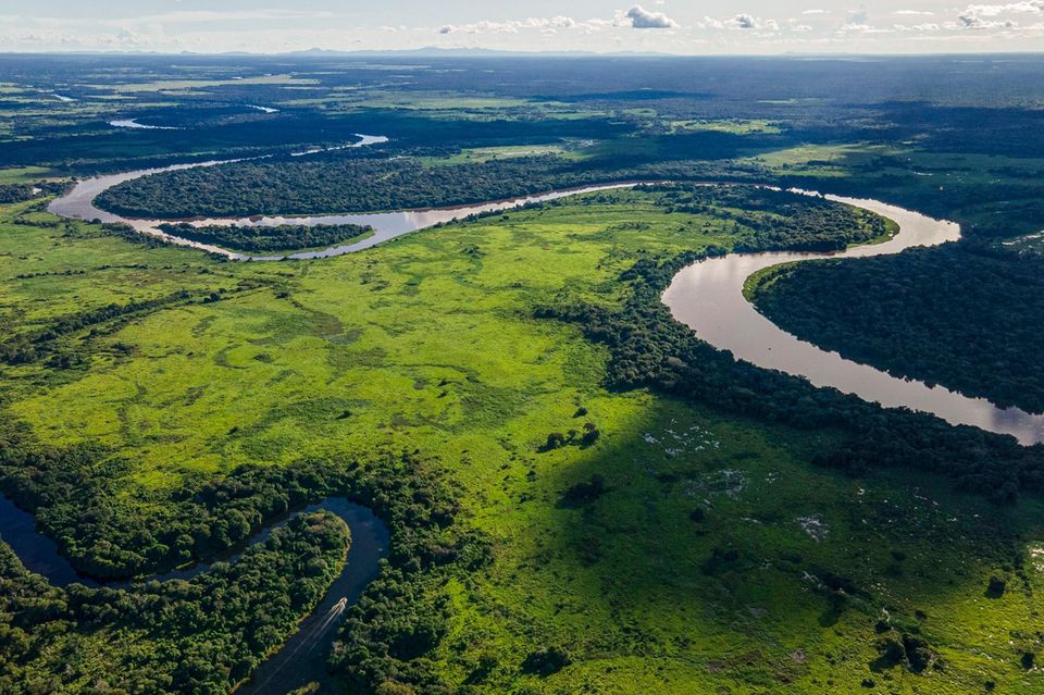 Das Pantanal ist eine Oase der Artenvielfalt. Der Versuch, dort eine Straße zu bauen, wirkte sich sogar positiv aus 1.2816