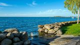 See Vättern, im Vordergrund Steinmauern und ein Schwan