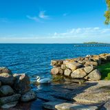 See Vättern, im Vordergrund Steinmauern und ein Schwan
