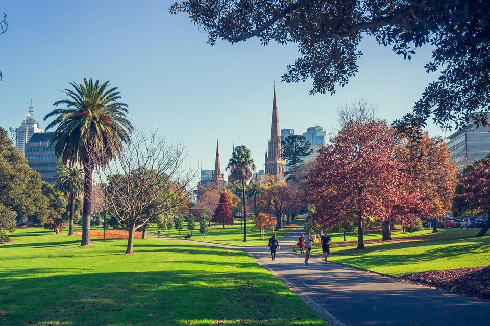 Patrick's Cathedral from Fitzroy Gardens, Melbourne 1.7196