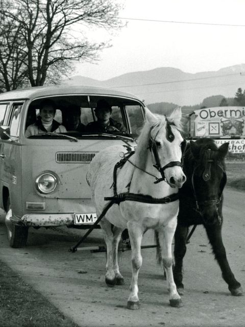 Zwei Pferde als Gespann ziehen einen VW - Kleinbus