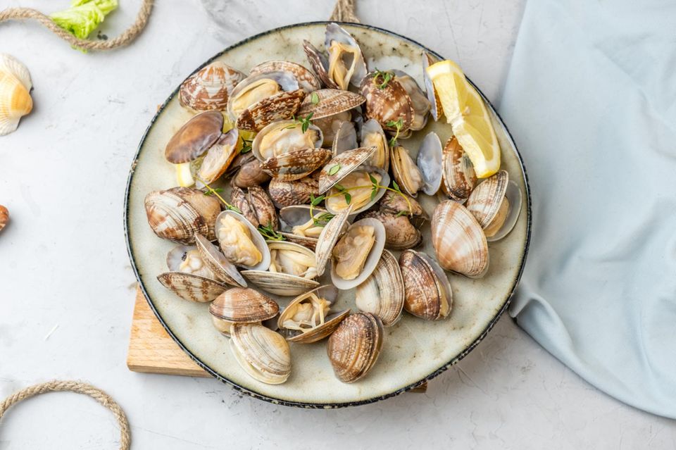 Muscheln essen: Gekochte Venusmuscheln auf einem Teler
