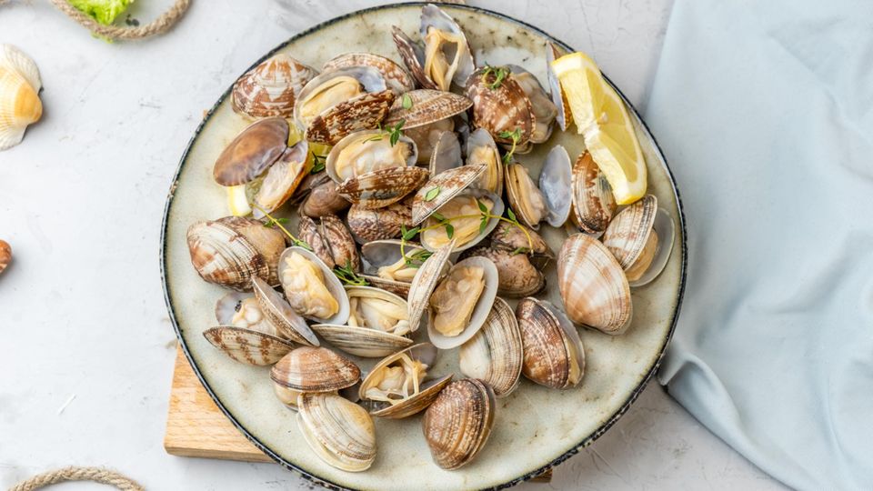 Muscheln essen: Gekochte Venusmuscheln auf einem Teler
