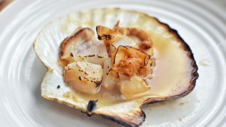 Muscheln essen: Zubereitete Jakobsmuschel in eigener Schale serviert