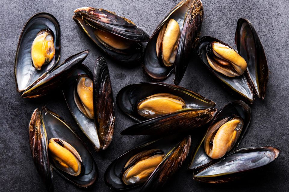 Muscheln essen: geöffnete Miesmuscheln 1.3509