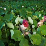 Nackte Frauen mit pinken Haaren wandern durch ein Feld mit riesigen grünen Pflanzen