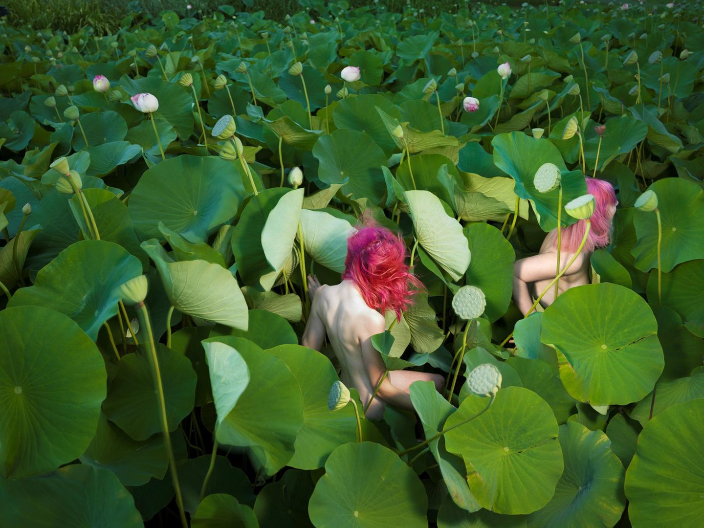 Nackte Frauen mit pinken Haaren wandern durch ein Feld mit riesigen grünen Pflanzen