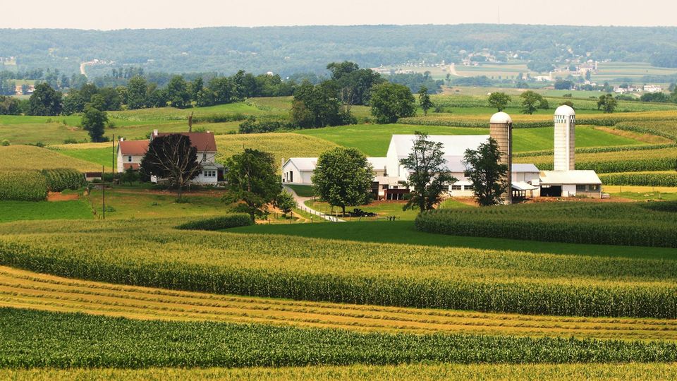 Erkenntnisse in Pennsylvania: Grüne Hügel und Bilderbuchbauernhöfe: Pennsylvania ist Heimat der größten Amisch-Gemeinde der USA Grüne Hügel und Bilderbuchbauernhöfe: Pennsylvania ist Heimat der größten Amisch-Gemeinde der USA