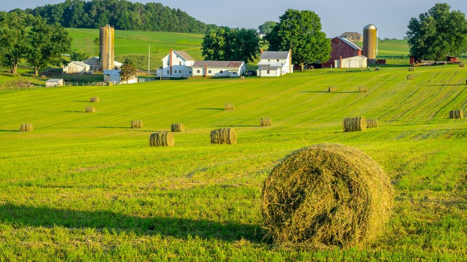 Farmidylle in den USA Farmidylle in den USA