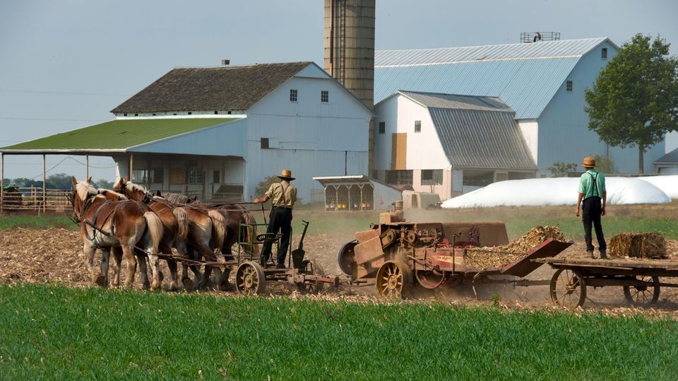 Amische Farmer bei der Arbeit Amische Farmer bei der Arbeit