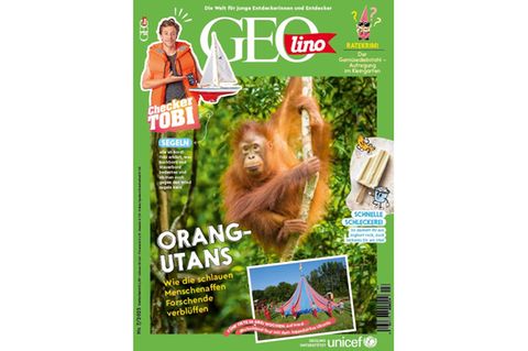 Cover GEOlino 07-2025: Orang-Utans