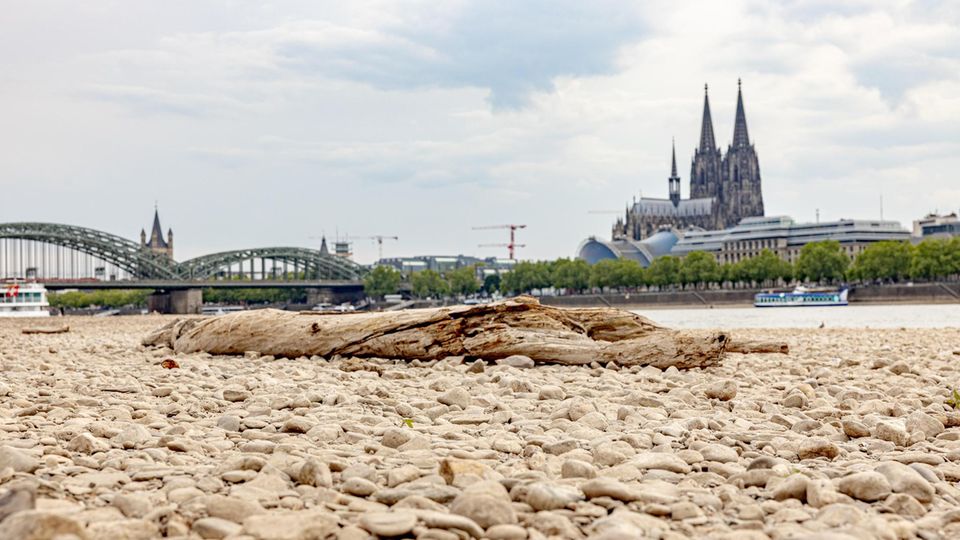 Klima Update Spezial: Dürre in Deutschland: Was, wenn unser Boden austrocknet? Klima Update Spezial: Dürre in Deutschland: Was, wenn unser Boden austrocknet?