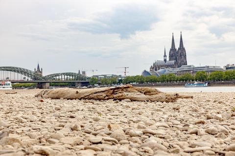 Klima Update Spezial: Dürre in Deutschland: Was, wenn unser Boden austrocknet?