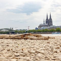 Klima Update Spezial: Dürre in Deutschland: Was, wenn unser Boden austrocknet?
