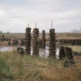 Moorlandschaft in Irland