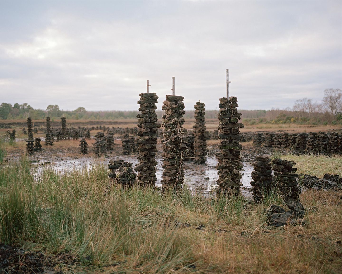 Moorlandschaft in Irland