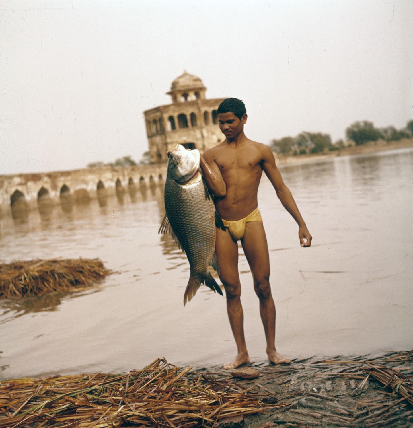 Mann hält großen Fisch in der Hand