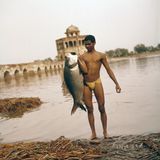 Mann hält großen Fisch in der Hand