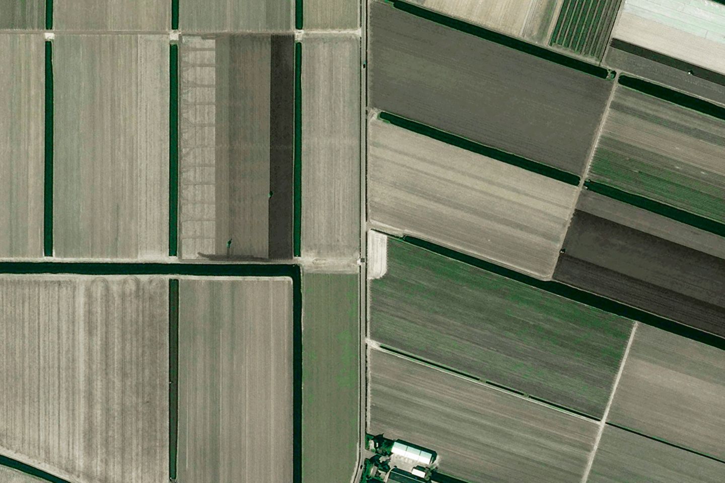 Jeden Frühling erblühen die Tulpenfelder in Lisse in den Niederlanden von März bis April – Satellitenbilder fangen diese farbenprächtige Verwandlung eindrucksvoll ein.