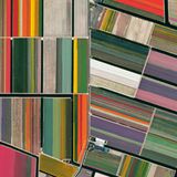 Zwei Drittel aller Blumenzwiebeln und neun von zehn Tulpen stammen aus den Niederlanden. Zudem exportieren die Niederländer große Mengen Tomaten, Paprika, Gurken und Ananas, die sie selbst kaum konsumieren.