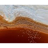 Wie ein Geschwader rosafarbener Flugzeuge ziehen diese Flamingos über den kenianischen Magadisee. Der flache Salzsee ist nur während der Regenzeit mit Wasser gefüllt und wirkt durch seine rote Färbung fast außerirdisch. Seine ungewöhnliche Farbe verdankt der See unzähligen Mikroorganismen, die in ihm gedeihen und rote Pigmente produzieren.