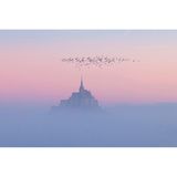 Die Morgensonne taucht die aus dem Nebel aufsteigende Felseninsel Mont-Saint-Michel in rosafarbenes Licht. Die Insel mit dem gleichnamigen Dorf liegt etwa einen Kilometer von der Küste entfernt im Wattenmeer der Normandie und zählt zum Weltkulturerbe der UNESCO.