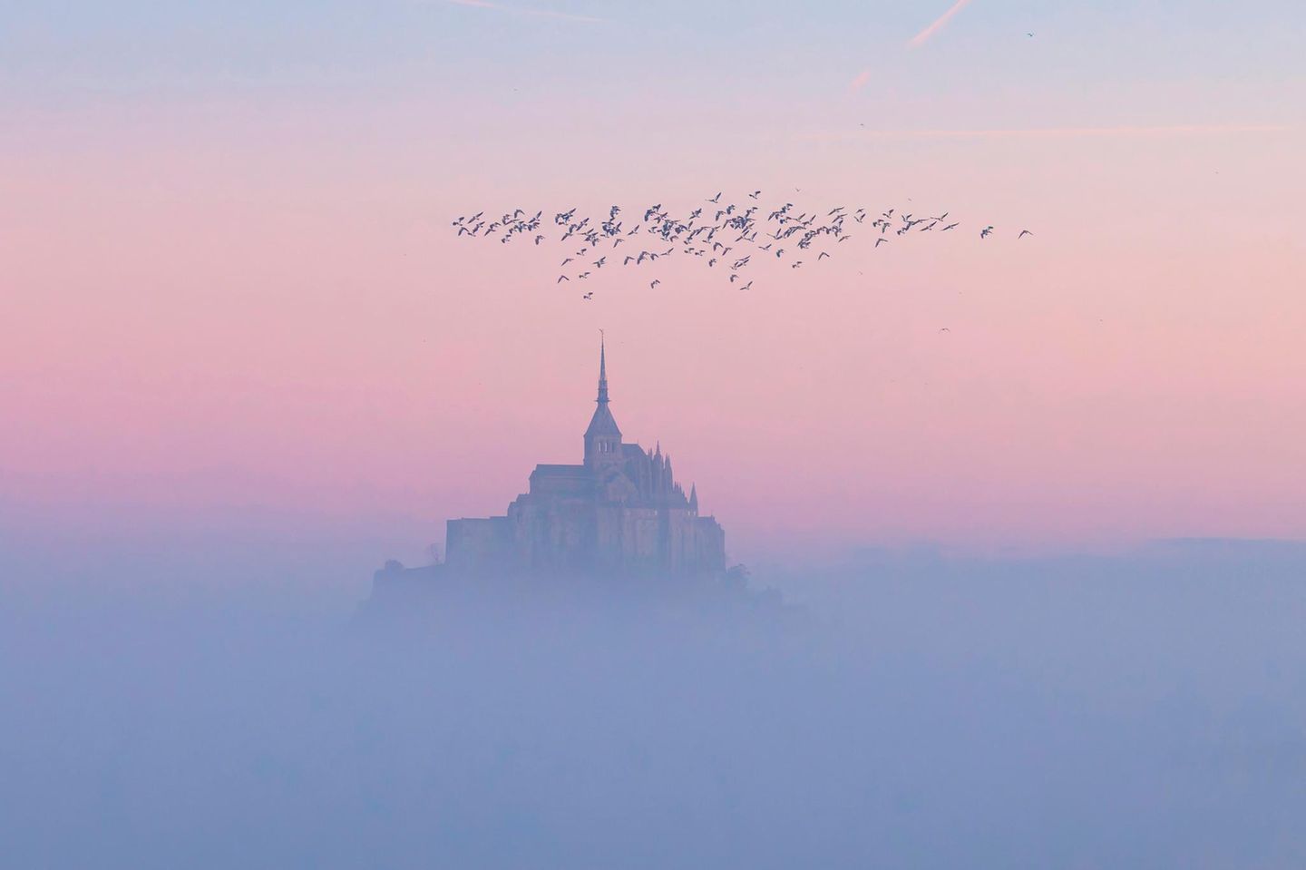 Der Tag erwacht Die Morgensonne taucht die aus dem Nebel aufsteigende Felseninsel Mont-Saint-Michel in rosafarbenes Licht. Die Insel mit dem gleichnamigen Dorf liegt etwa einen Kilometer von der Küste entfernt im Wattenmeer der Normandie und zählt zum Weltkulturerbe der UNESCO.