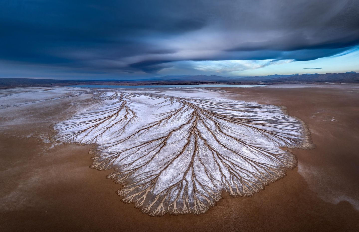 Weiße Wüste Wie ein Wurzelgeflecht verästeln sich weiße Salzrückstände auf dem Wüstenboden und bilden einen Kontrast zum bedrohlich dunklen Himmel. Ein "Desert Playa", ein flaches Becken inmitten der trockenen Wüste, kann sich nach einem heftigem Starkregen zeitweise in einen flachen See verwandeln. David Swindler erhält für seine Drohnenaufnahmen den dritten Platz in der Kategorie "Fotograf*in des Jahres".