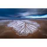 Wie ein Wurzelgeflecht verästeln sich weiße Salzrückstände auf dem Wüstenboden und bilden einen Kontrast zum bedrohlich dunklen Himmel. Ein "Desert Playa", ein flaches Becken inmitten der trockenen Wüste, kann sich nach einem heftigem Starkregen zeitweise in einen flachen See verwandeln. David Swindler erhält für seine Drohnenaufnahmen den dritten Platz in der Kategorie "Fotograf*in des Jahres".