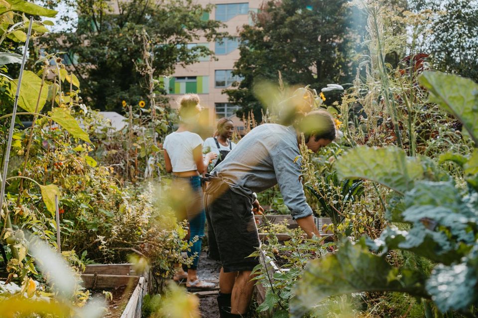 Junge Leute beim Gärtnern 1.5004