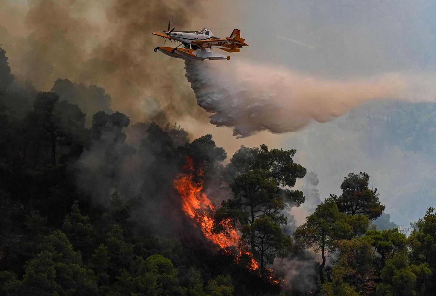 Busch- und Waldbrände in der Türkei    Zahlreiche Waldbrände halten die Türkei in Atem. In der westlichen Provinz İzmir waren rund tausend Feuerwehrleute mit Unterstützung von 14 Hubschraubern im Einsatz, um einen am Vortag ausgebrochenen Waldbrand zu bekämpfen. In der Nähe des Stadtzentrums von Hatay im Südosten der Türkei brach am Montag ebenfalls ein Feuer aus, woraufhin zahlreiche Bewohner in Panik flüchteten. 