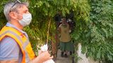 Evakuierungen in der türkischen Provinz Iszmir    Nach Angaben des Katastrophenschutzes wurden in der Türkei bis Montag mehr als 50.000 Menschen aufgrund von Wald- und Buschbränden in Sicherheit gebracht. Insgesamt sind 41 Gemeinden von den Evakuierungen betroffen, wie die Behörde mitteilte. Laut Behördenangaben wurden allein in İzmir über 130 Häuser durch die Flammen beschädigt. Einige sind bis auf die Grundmauern niedergebrannt. 