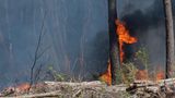 Buschbrände in Südwestfrankreich   Auch in Frankreich ist das Risiko für Wald- und Buschbrände derzeit hoch. Insgesamt brannten bislang Behördenangaben zufolge 400 Hektar Land nieder. In einigen Regionen fanden Evakuierungen statt, darunter in der berühmten Abtei Fontfroide südwestlich der Stadt Narbonne. Die Autobahn 61 wurde gesperrt. 