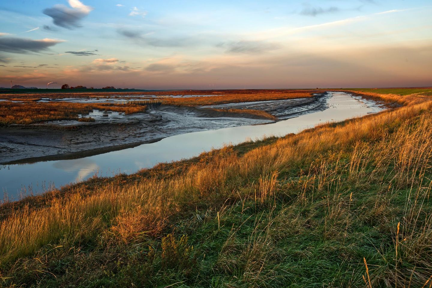 Langwarder Groden: Zurück zur Natur Naturschutzgebiet Langwarder Groden