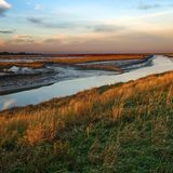 Naturschutzgebiet Langwarder Groden