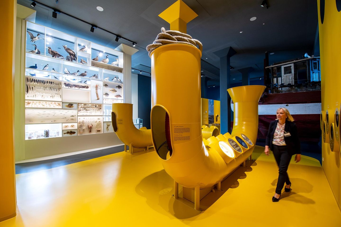 Wilhelmshaven: Wattenmeer-Zentrum mit Weitblick Blick in die Ausstellung im UNESCO-Weltnaturerbe Wattenmeer-Besucherzentrum